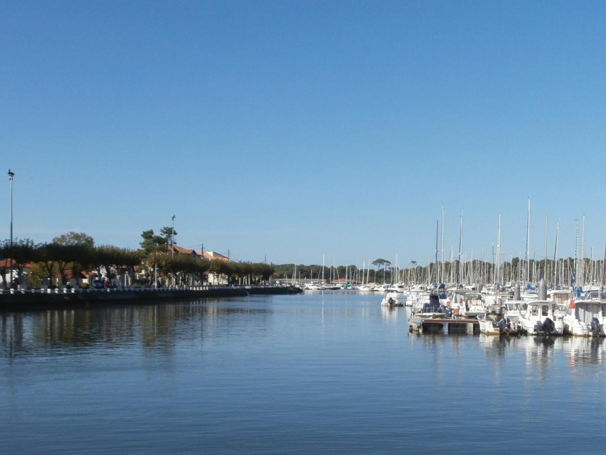 Charmant T3 De Standing A Capbreton, Jardin, 3 Chambres, Terrasse Couverte, Proche Port Et Plages - Fr-1-239-484 Buitenkant foto